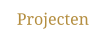 Projecten