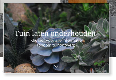 Klik hier voor alle informatie rondom tuinontwerp Tuin laten onderhouden