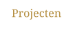 Projecten