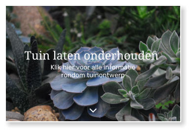 Klik hier voor alle informatie rondom tuinontwerp Tuin laten onderhouden